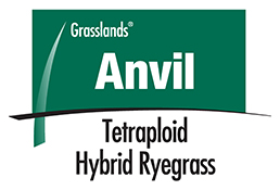 Mohaka perennial ryegrass logo